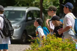 Tábor Dvůr Králové nad Labem - 1. turnus - 01.07.2024